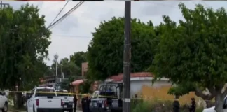Descubren restos humanos en taxi en Coatzacoalcos; activan operativo Imagen que muestra bolsas con restos humanos taxi en la calle de Coatzacoalcos