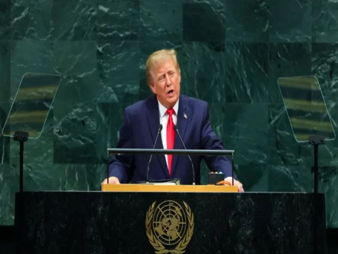 Donald Trump habla sobre la violencia de los cárteles en la ONU Imagen que ilustra la violencia de los cárteles según Donald Trump