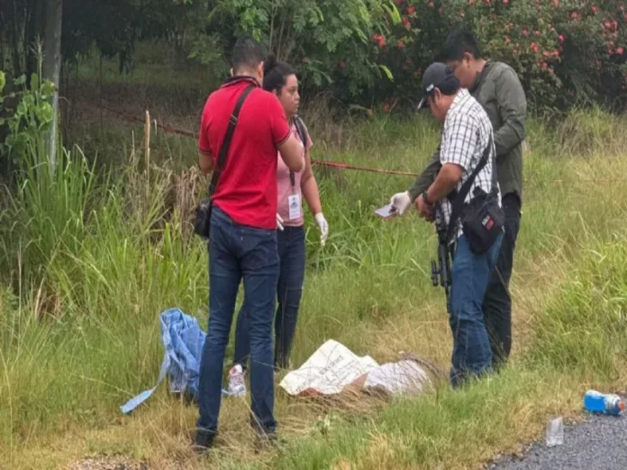 Escena de violencia en Veracruz con varias víctimas Imagen que muestra la violencia en Veracruz con víctimas mortales