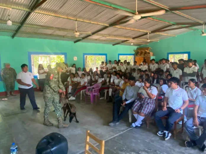 Demostración canófila del Ejército Mexicano en Tilapan