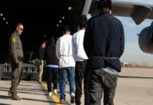 En dos años de Trump, EU hizo 980 mil deportaciones Gráfica que muestra las deportaciones Trump en EE.UU.