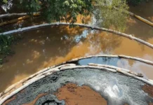Profepa y ASEA atienden derrame de hidrocarburo en Chacalapa; descartan fuga en Pemex Acción conjunta de Profepa y ASEA frente al derrame de hidrocarburo en Veracruz