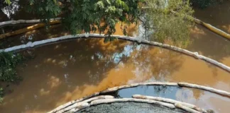 Profepa y ASEA atienden derrame de hidrocarburo en Chacalapa; descartan fuga en Pemex Acción conjunta de Profepa y ASEA frente al derrame de hidrocarburo en Veracruz