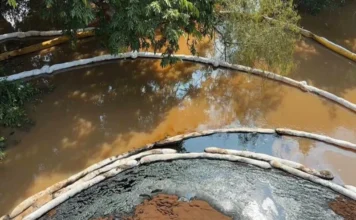 Profepa y ASEA atienden derrame de hidrocarburo en Chacalapa; descartan fuga en Pemex Acción conjunta de Profepa y ASEA frente al derrame de hidrocarburo en Veracruz