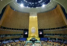 Comité de la ONU llevará los casos de desapariciones forzadas ante la Asamblea General; incluirá a México Imagen sobre desapariciones forzadas en México presentada ante la ONU