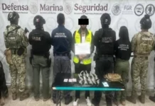 Cae en Villahermosa «El Cabra», líder de Mara 18; es requerido en El Salvador por homicidio Detención de El Cabra, líder de Mara 18, en Villahermosa Tabasco