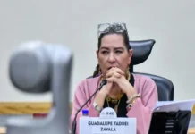 Diputados de la 4T van por elección fast track de un consejero «externo» para presidir el INE; Taddei irá a Palacio Nacional Imagen relacionada con elección fast track del INE