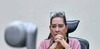 Diputados de la 4T van por elección fast track de un consejero «externo» para presidir el INE; Taddei irá a Palacio Nacional Imagen relacionada con elección fast track del INE
