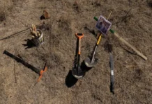 Acusan que FGR reportó 20 veces menos fosas clandestinas que fiscalías estatales: «Registró 32 de 651» Imagen que ilustra fosas clandestinas reportadas en México