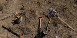 Acusan que FGR reportó 20 veces menos fosas clandestinas que fiscalías estatales: «Registró 32 de 651» Imagen que ilustra fosas clandestinas reportadas en México