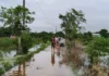 Localidades permanecen incomunicadas en Veracruz por inundaciones y crecidas de ríos Imagen de inundaciones Veracruz mostrando calles bajo el agua