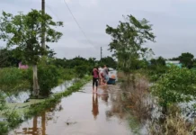 Localidades permanecen incomunicadas en Veracruz por inundaciones y crecidas de ríos Imagen de inundaciones Veracruz mostrando calles bajo el agua