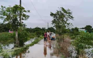 Localidades permanecen incomunicadas en Veracruz por inundaciones y crecidas de ríos Imagen de inundaciones Veracruz mostrando calles bajo el agua