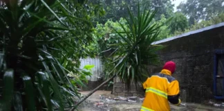 Evacúan municipios del sur de Veracruz por crecida de ríos; suspenden clases en 28 municipios Imagen de inundaciones Veracruz mostrando equipos de rescate