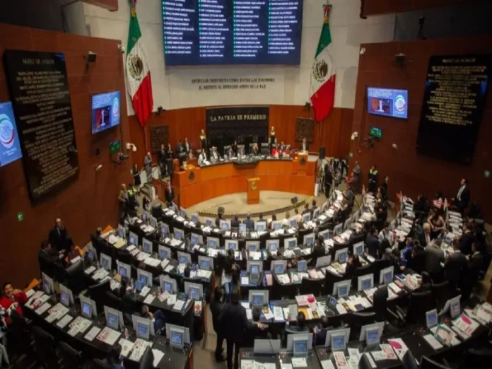 Sesión del Senado aprobando la ley catastral Imagen de la sesión del Senado aprobando la ley catastral