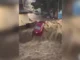 Lluvias intensas del domingo colapsan vialidades en Tepic, Nayarit Imagen de lluvias intensas Tepic que causó inundaciones