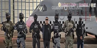 Detienen en Jalisco a presunto operador regional del CJNG con actividades en Veracruz operador regional CJNG detenido en Zapopan