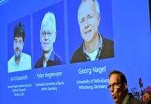 Otorgan el Nobel de Medicina a desarrolladores de la técnica que permite estudiar la actividad cerebral con luz Imagen que ilustra la optogenética premio Nobel en investigación cerebral