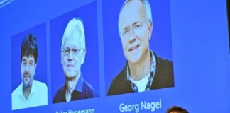 Otorgan el Nobel de Medicina a desarrolladores de la técnica que permite estudiar la actividad cerebral con luz Imagen que ilustra la optogenética premio Nobel en investigación cerebral