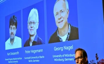 Otorgan el Nobel de Medicina a desarrolladores de la técnica que permite estudiar la actividad cerebral con luz Imagen que ilustra la optogenética premio Nobel en investigación cerebral