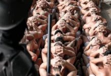 Gobierno de Bukele condena a más de 10 mil pandilleros bajo el régimen de excepción Imagen que muestra a pandilleros en El Salvador bajo el régimen de excepción