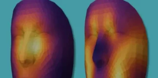 A partir de una foto, una IA puede estimas la probabilidad que tienes de morir de cáncer Imagen que ilustra la probabilidad de cáncer estimada por IA