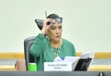 Líderes políticos exigen la renuncia de Taddei del INE mientras Sheinbaum lanza discurso contra la corrupción Manifestantes exigen la renuncia de Taddei del INE por corrupción