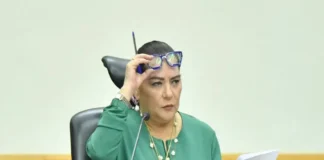 Líderes políticos exigen la renuncia de Taddei del INE mientras Sheinbaum lanza discurso contra la corrupción Manifestantes exigen la renuncia de Taddei del INE por corrupción