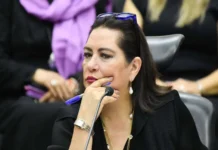 Guadalupe Taddei envía su renuncia a la Cámara de Diputados tras polémica por corrupción Imagen que muestra la renuncia Taddei del INE