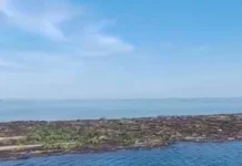 Más de 5 kilómetros de residuos que dejaron las lluvias amenazan arrecífes de Veracruz Residuos en arrecifes arrastrados por lluvias en Veracruz