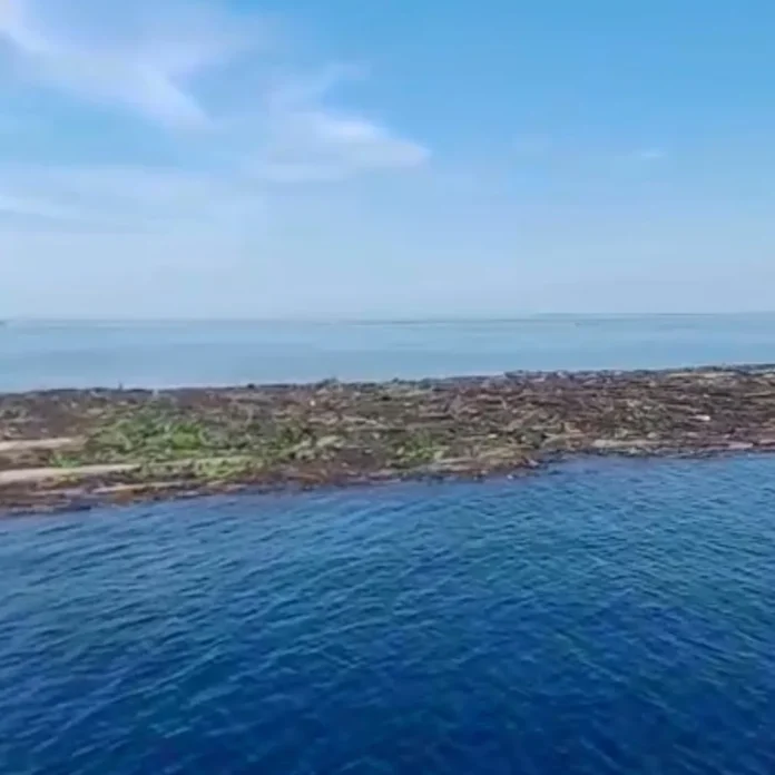 Residuos flotando cerca del arrecife de Veracruz Residuos en arrecifes arrastrados por lluvias en Veracruz