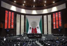 Diputados alistan proceso de sustitución de Guadalupe Taddei frente al INE Imagen que muestra la sustitución de Guadalupe Taddei en el INE