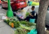 Trabajan 3.5 millones de niños en el país: Inegi Imagen que muestra trabajo infantil México en actividades agrícolas