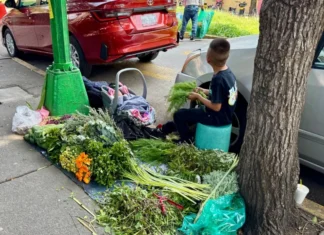 Trabajan 3.5 millones de niños en el país: Inegi Imagen que muestra trabajo infantil México en actividades agrícolas