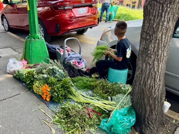 Niños trabajando en el campo mexicano Imagen que muestra trabajo infantil México en actividades agrícolas