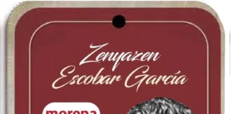 2026-2027: Proceso electoral con inicio violento en Veracruz… Parte 2 Imagen que muestra la violencia electoral Veracruz en una marcha